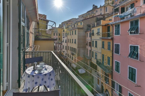 CATEO image 16
