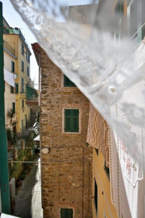 CATEO image 17